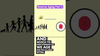 Reversing Aging: Part 4