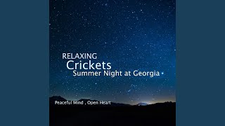 Sleep and Relaxation Nature Sounds, Crickets Summer Night