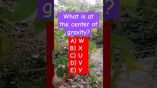 What is at the center of gravity? #shorts #trending #puzzle #viralshorts #viralvideo #puzzlegames