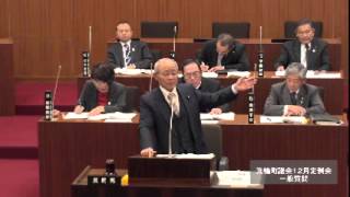 平成２６年１２月定例会一般質問　向山　章　議員