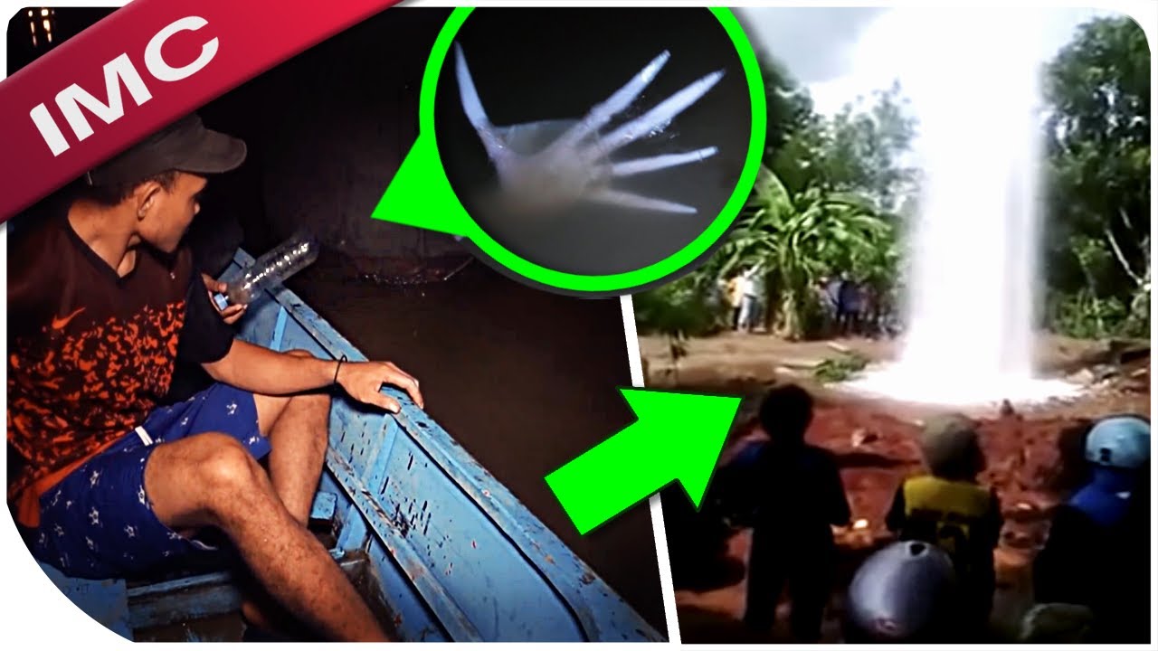 Most Unbelievable Encounters You Will Ever See...