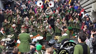 Wäsmali-Chatze Lozärn - Luzerner Fasnacht 2017