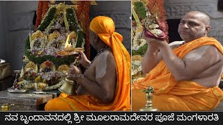 |Sri MoolaRamadevara Pooja at Nava Brindavana|