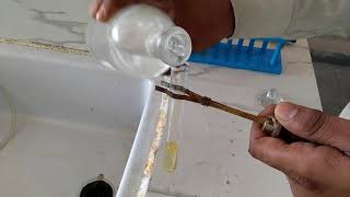 test for Sucrose