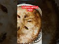 costco apple pie over 4 pounds subscribetomychannel