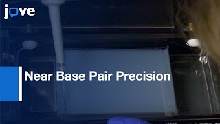 ChIP-Exo Method: Identifying Protein-DNA Interactions: Near Base Pair Precision l Protocol Preview