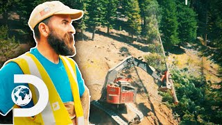 Fred Has To Clear “Widowmaker” Trees Before His Crew Can Start Mining | Gold Rush