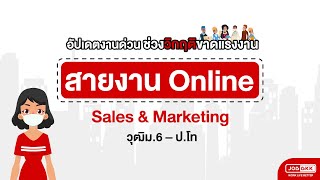 สายงาน Online Sales \u0026 Marketing วุฒิม.6 – ป.โท JOBBKK อัปเดตงานด่วน ช่วงวิกฤติขาดแรงงาน