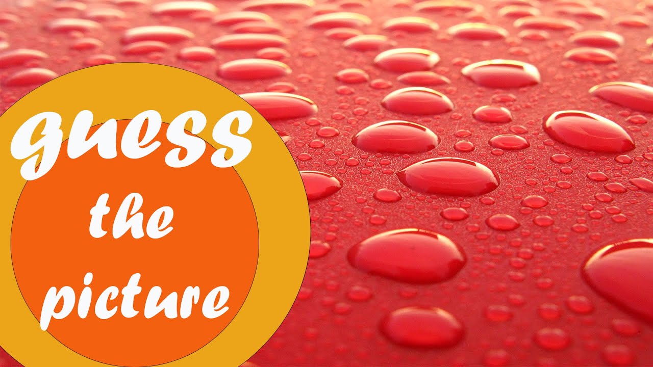 Guess The Picture Guess Zoomed In Images Guess Zoomed In Pictures