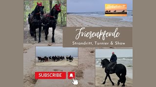 Friesentreffen 2023 auf Usedom - überwältigende Friesen Pferde - Strandritt, Dressur und Show