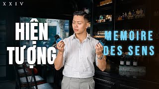 Giải Mã Cơn Sốt Memoire Des Sens: NGON-BỔ-RẺ Thật Hay Không?