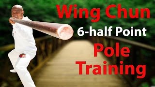Wing Chun 6 ½ Point Pole Training