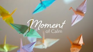 Moment of Calm | Unselfconsciousness