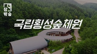 [창밖 숲] 창밖의 숲 풍경 녹색 문화의 메카 국립횡성숲체원🌳 (Feat. 포이)