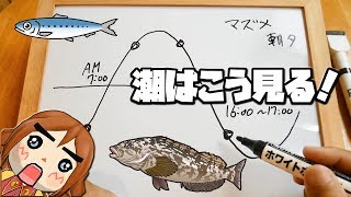 この潮回りが釣れる！