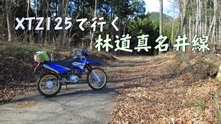 XTZ125で行く、林道 真名井線