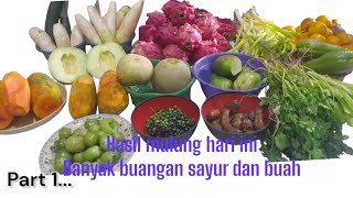 Alhamdulillah hasil mulung hari ini banyak sekali buangan buah dan sayur...