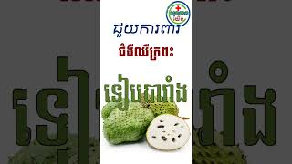 អត្ថប្រយោជន៍របស់ផ្លែទៀបបារាំង #សុខភាពយើង #សម្រស់យើង #fruit