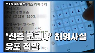 '신종 코로나' 허위사실 유포 적발...마스크 사기 96건 수사 / YTN