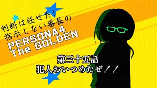 【ネタバレ注意】判断はまかせた！支持しない番長のペルソナ４the GOLDEN  part35【アンディ=メルジーヌ】