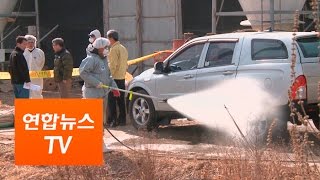 엿새만에 김포ㆍ화성 AI 의심신고…설 앞두고 긴장 / 연합뉴스TV (Yonhapnews TV)