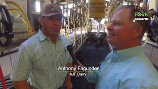 Netafim Sponsored – Farm to Fork #18 – A look inside the milk parlor