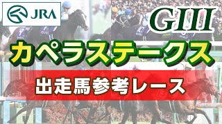 【参考レース】2024年 カペラステークス｜JRA公式