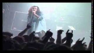 Timoria - Sangue Impazzito (Live)