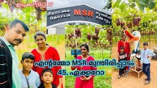 MSR മുന്തിരിപ്പാടം 45 ഏക്കറോ?🙄#trending #viralvideo #travel #travelvlog #m4tech