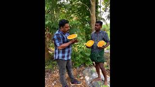 Watermelon | തണ്ണിമത്തനിലെ മാരകമായ വിഷം. സത്യാവസ്ഥ ഇതാണ്…