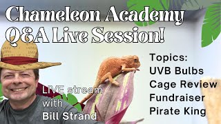 Live Chameleon Q\u0026A