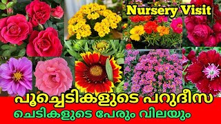 Amazing Flowering plant 🔥Nursery ||Plant price with Names || Cheapest plant Nursery in India ||Salu