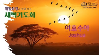 새벽기도회 250120 (여호수아 13:1-14)