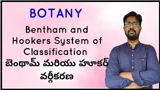 Bentham and Hookers System of Classification | బెంథామ్ మరియు హూకర్ వర్గీకరణ