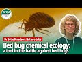 Bed bug chemical ecology: a tool in the battle against bed bugs