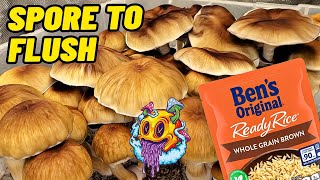 Spore To Flush - Uncle Ben's Tek | Complete Beginner's Guide To Growing Mushrooms