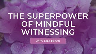 The Superpower of Mindful Witnessing with Tara Brach