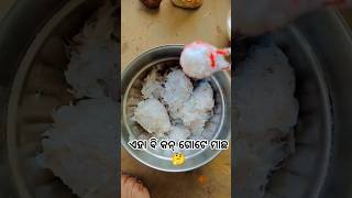 ଗଗୁଆ ମାଛ ଝୋଳ ଏ ମାଛ ମୁଁ ପ୍ରଥମ ଥର ଦେଖିଲି ସତରେ କନ୍ ତରକାରି ଭଲ ଲାଗିବ 🤔🤔🍲🍲#vairalvideo #food #recipe #yt 🍲