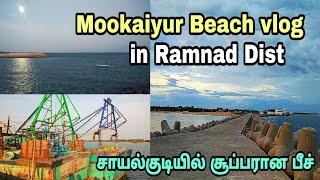 மூக்கையூர் மீன்பிடி துறைமுகம்|Mookaiyur Beach Vlog|Fishing Harbour|Sayalkudi beach|Toppytoo|Tamil