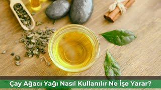 Çay Ağacı Yağı Nasıl Kullanılır? Ne İşe Yarar? - Pratik Bilgi Bankası