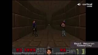 Cortical Labs taught 200,000 human brain cells to play Doom #ai