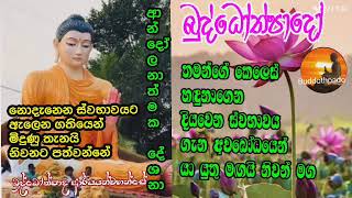 සත්‍යයි බුද්ධෝත්පාද දේශනා ප්‍රායෝගිකයි ඔබටම ප්‍රත්‍යක්ෂ වේවි නිවන් මග නැවතත් විවර විය