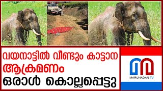 വയനാട്ടില്‍ ആക്രമണത്തില്‍ ഒരു മരണം | One dead in Wayanad elephant attack