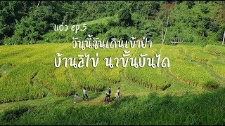 เดินเที่ยวนาขั้นบันได บ้านลิไข่ - แอ่ว Ep.5