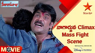 Seetharama Raju Movie Scenes | నాగార్జున Climax Mass Fight Scene | Telugu Movies | Star Maa