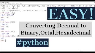 Number System conversion || python tutorial #16