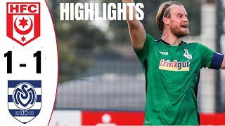 Hallescher FC 1 - 1 MSV Duisburg | Highlights and Goals | 3. Liga 2023/24