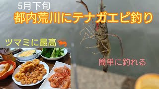 5月下旬・荒川でテナガエビ釣り