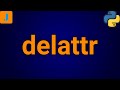 Python delattr