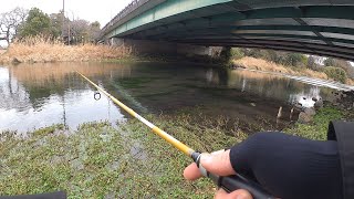 湧水の街なら冬でも釣れるのか？